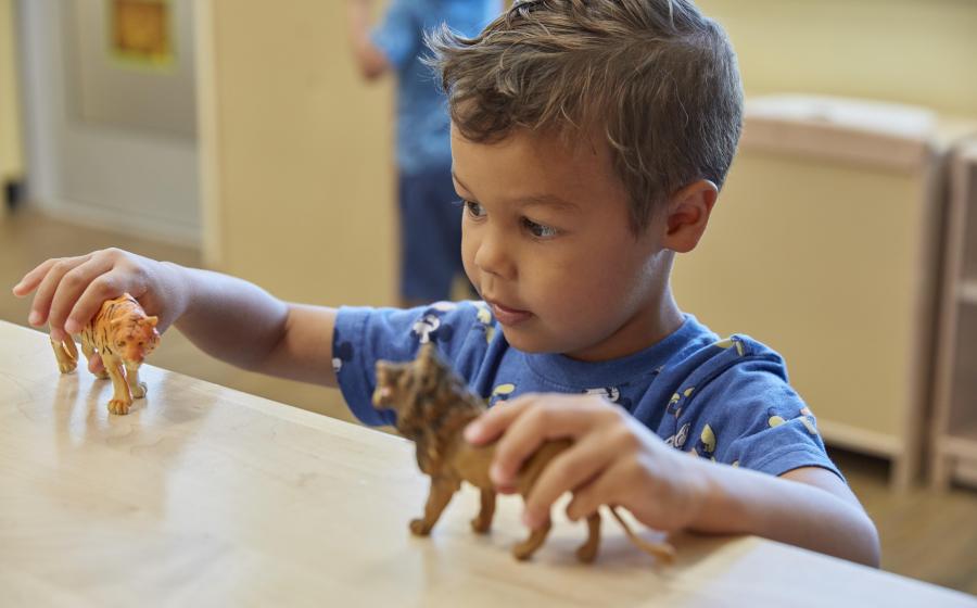 Tame the Toy Chaos Before the Holidays 