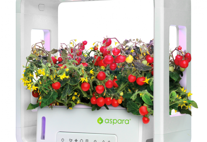 aspara: Try a Smart Way to Grow Your Garden