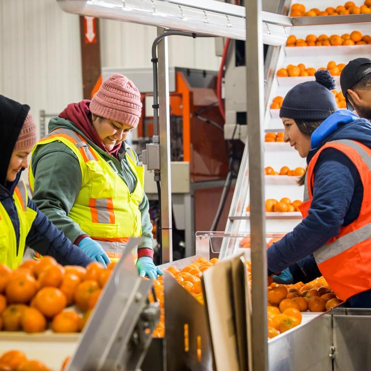 The Solution to Feeding the World Lies in the Cold Chain 