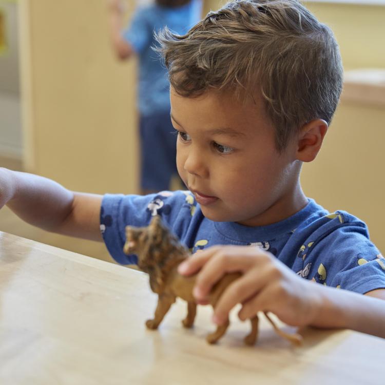 Tame the Toy Chaos Before the Holidays 