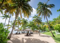 Dive Into Caribbean Luxury