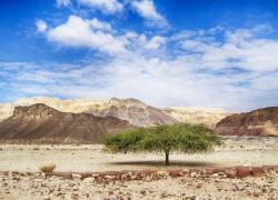 Israel Returns as Top Travel Destination